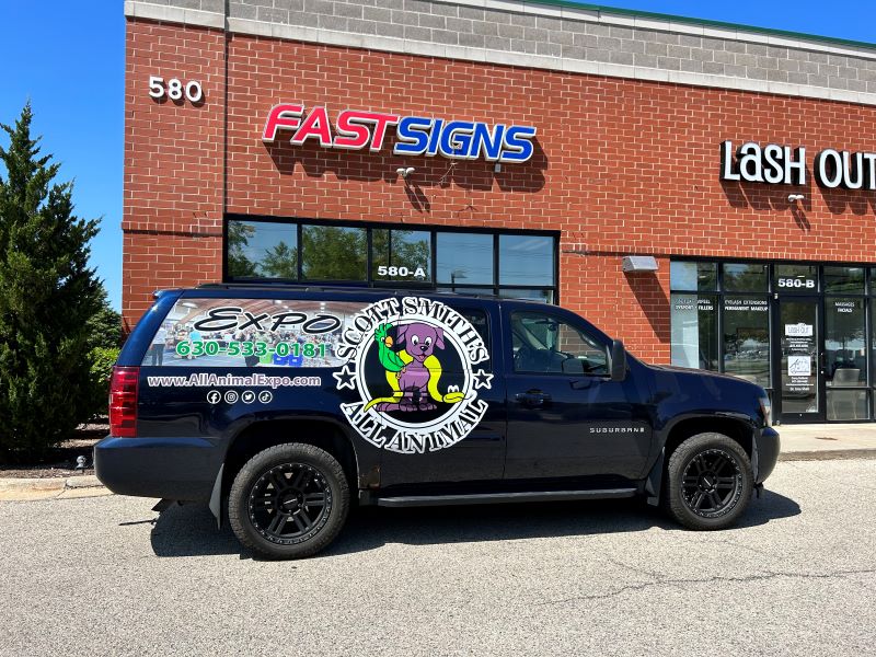 vehicle graphics